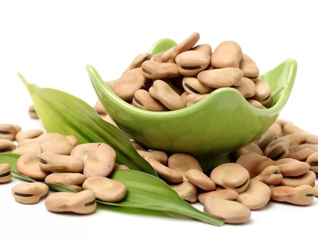خشک کردن باقلا سبز در دستگاه میوه خشک کن