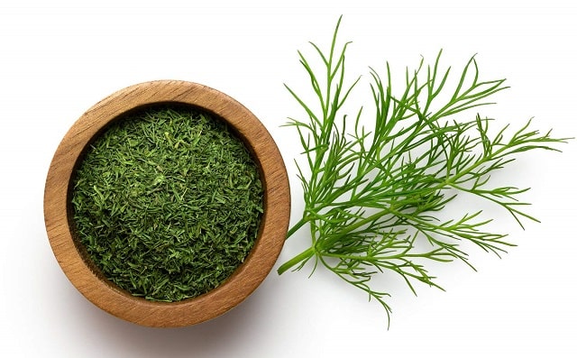 خشک کردن شوید با پنکه در تابستان