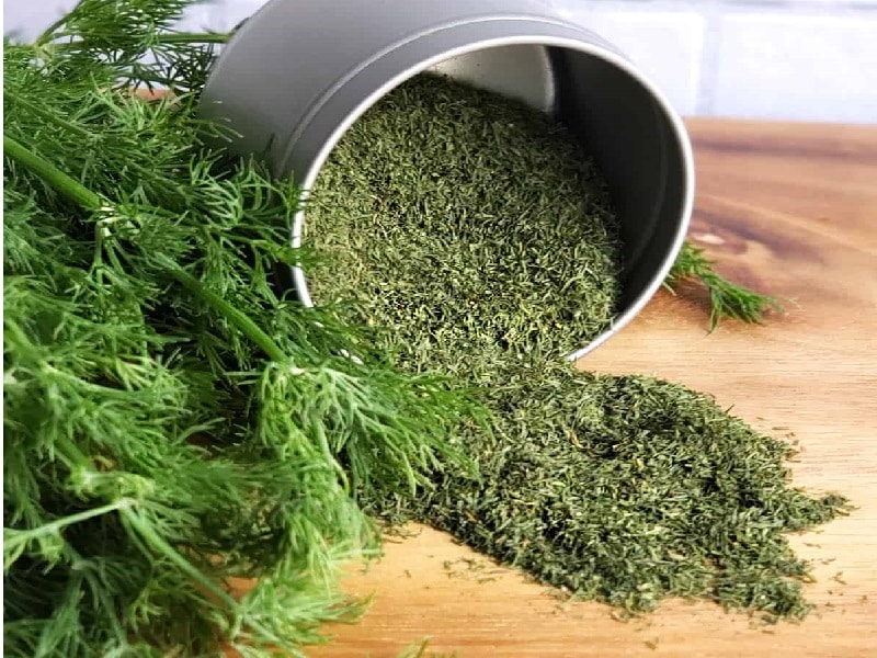 روش های خشک کردن شوید در منزل