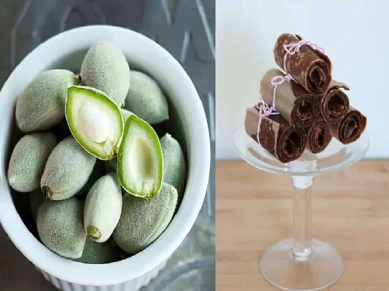 ۶ روش طرز تهیه لواشک چغاله بادام + ۱۵ نکته طلایی لواشک بازاری