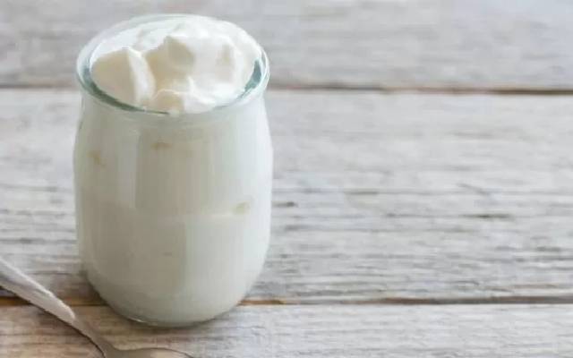 طرز تهیه ماست پروبیوتیک خانگی در یک نگاه