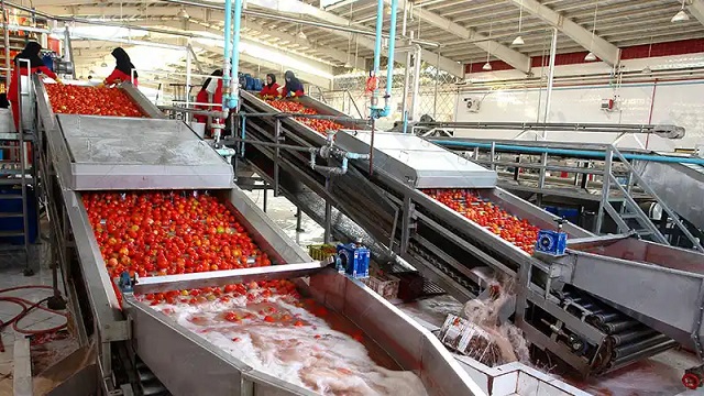 کنترل کیفیت و رعایت استانداردهای بهداشتی رب گوجه
