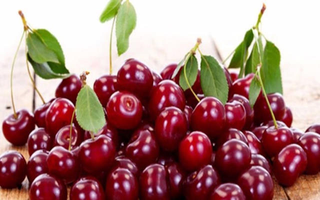 روش های نگهداری آلبالو برای طولانی مدت