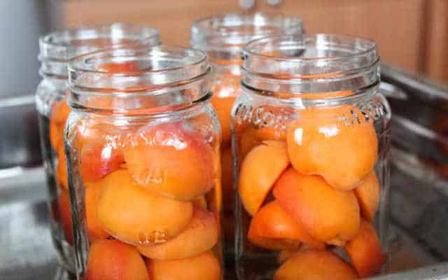 طرز تهیه ترشی زردآلو تازه در یک نگاه