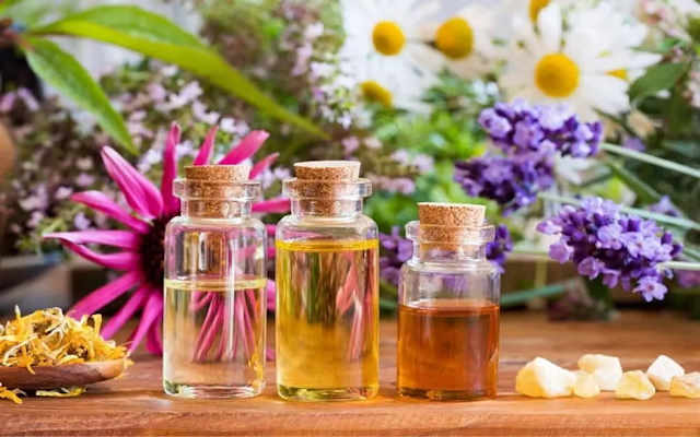 روش نگهداری از عرقیات گیاهی؛ نصف کیفیت اینجاست | راهنمای خرید عرقیات گیاهی