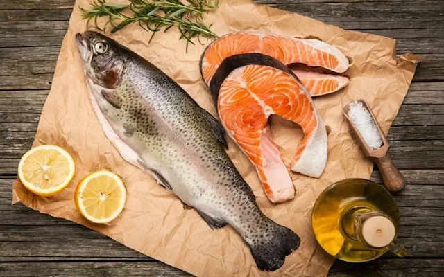 سوالات متداول درباره خرید ماهی