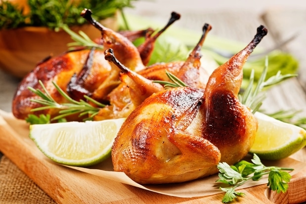 انواع غذا با بلدرچین