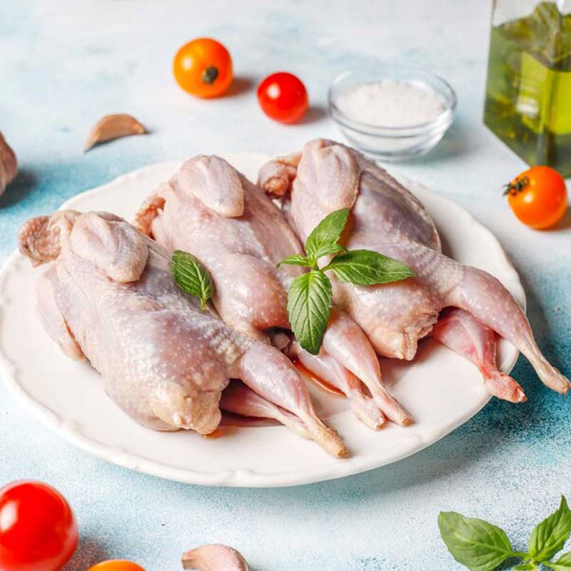 طرز تهیه انواع غذا با بلدرچین | راهنمای خرید بلدرچین باکیفیت