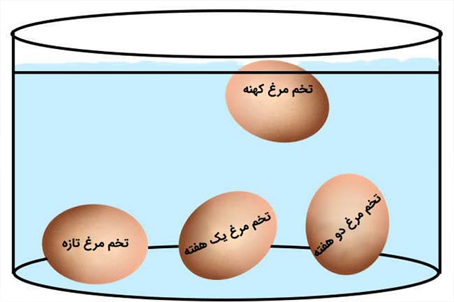 تست شناوری تخم مرغ در آب