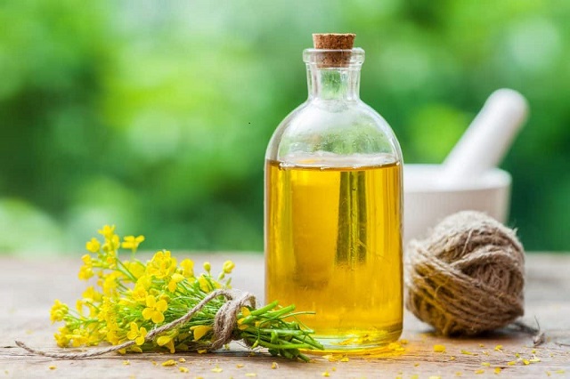 روغن‌های مناسب برای رژیم‌های خاص