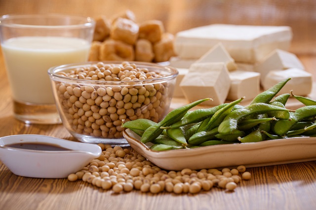 نحوه نگهداری سویا در خانه