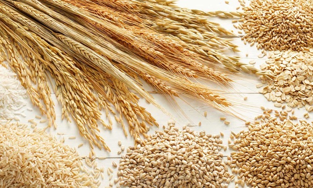 آیا غلات کامل برای همه افراد مناسب هستن