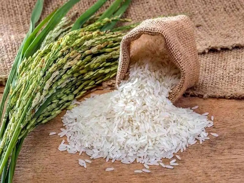 راهنمای خرید برنج خارجی