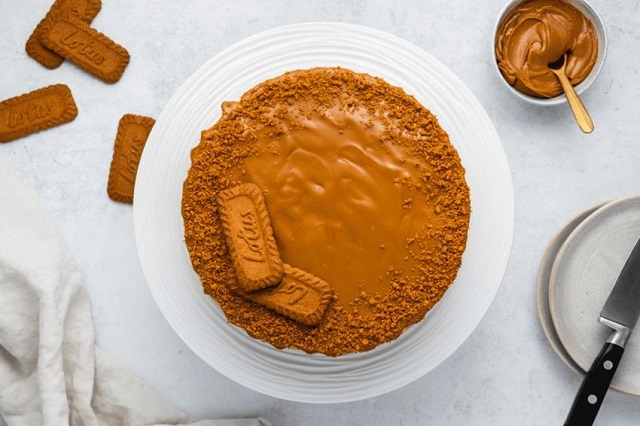 نکات تکمیلی طرز تهیه کیک لوتوس