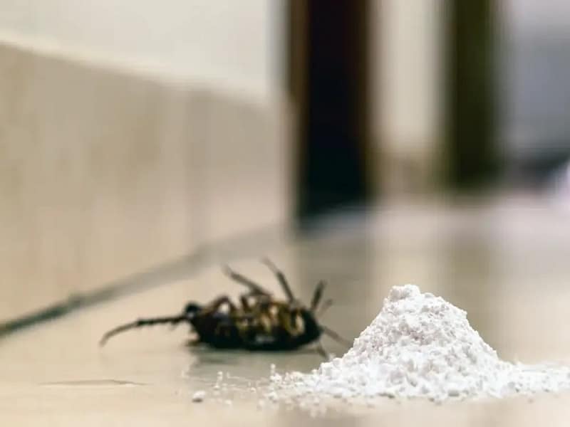 مقایسه انواع حشره کش