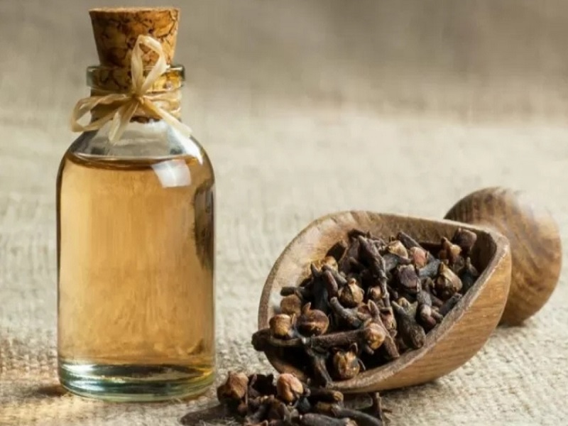 مضرات میخک و روغن آن؛ تداخلات دارویی و خطرات مصرف بیش از حد