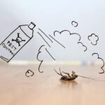 خطرات حشره کش ها