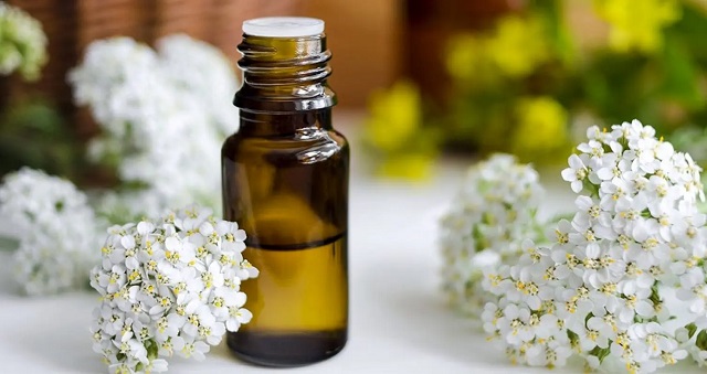 خواص بومادران برای کاهش عفونتهای زنانه خواص بومادران برای کاهش عفونتهای زنانه