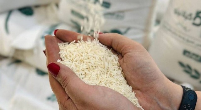 ویژگی‌های ظاهری برنج هاشمی اصل 