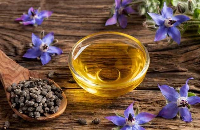 گل گاوزبان برای اعصاب بهتره یا سنبل‌الطیب؟
