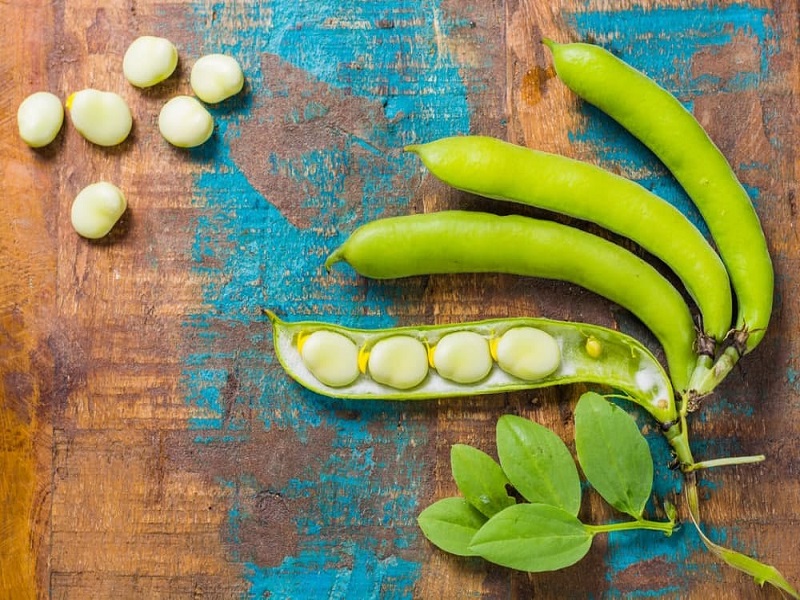 خواص باقالی