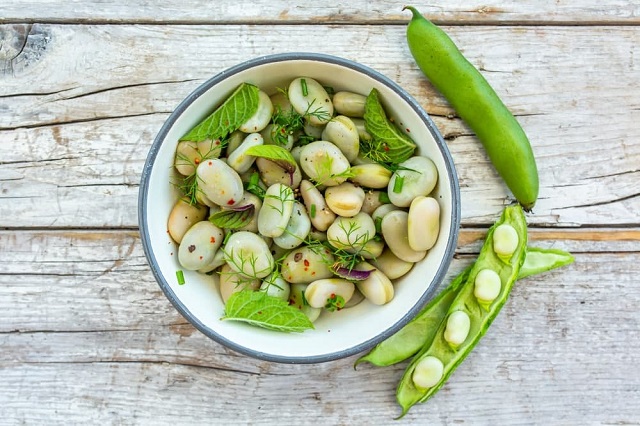 تفاوت خواص باقالی تازه (سبز) با باقالی خشک تفاوت خواص باقالی تازه (سبز) با باقالی خشک