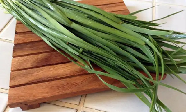 خواص تره برای زنان؛ درمان طبیعی کمخونی و فقر آهن خواص تره برای زنان؛ درمان طبیعی کمخونی و فقر آهن