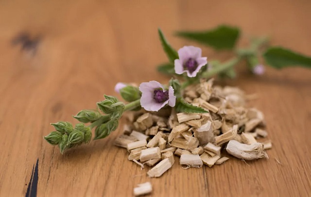 خواص گل ختمی برای مو