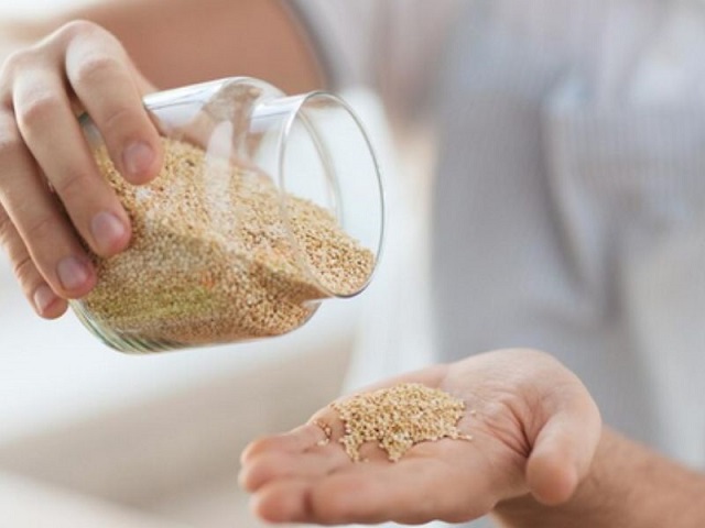 شرایط نگهداری پودر جوانه گندم برای جلوگیری از تلخ شدن و اکسیداسیون شرایط نگهداری پودر جوانه گندم برای جلوگیری از تلخ شدن و اکسیداسیون