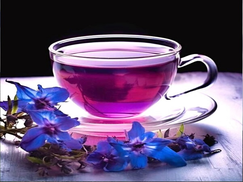 ۱۷ خواص گل گاوزبان | بهترین روش مصرف | فشار رو بالا می بره یا پایین؟