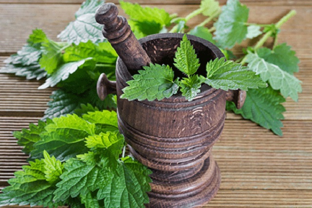 بهترین زمان مصرف دمنوش گزنه چه موقع است؟