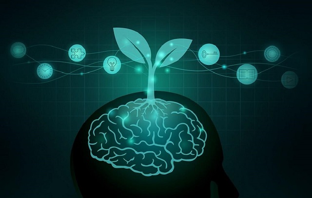 تشویق به یادگیری مهارت‌های مرتبط با بازسازی و توسعه جامعه