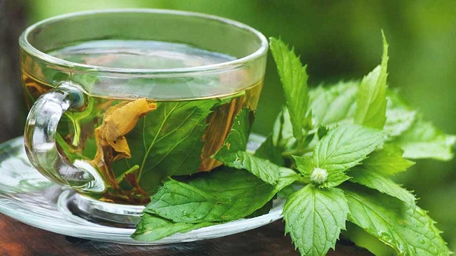 خواص دمنوش گزنه