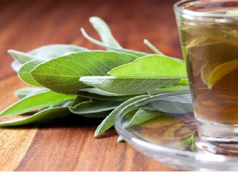 طرز تهیه دمنوش مریم گلی