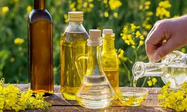 معرفی ناسالم‌ ترین روغن‌ های آشپزی