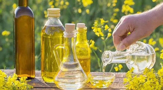 تفاوت روغن کانولا با روغن آفتابگردان تفاوت روغن کانولا با روغن آفتابگردان