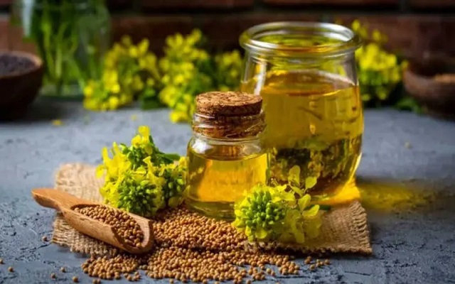 روغن کانولا از گلهای کانولا گرفته میشود یا دانههای کانولا؟ روغن کانولا از گلهای کانولا گرفته میشود یا دانههای کانولا؟
