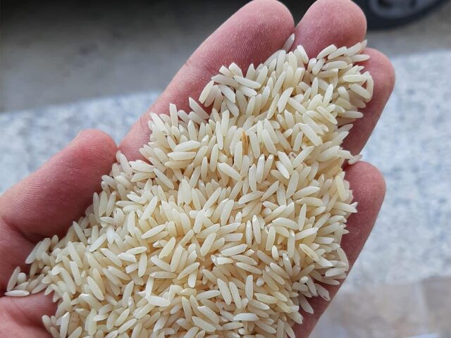نکات مهم در خرید برنج دودی اصل نکات مهم در خرید برنج دودی اصل