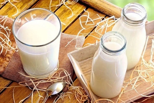 شیر چه موادی به بدن میدهد؟ شیر چه موادی به بدن میدهد؟