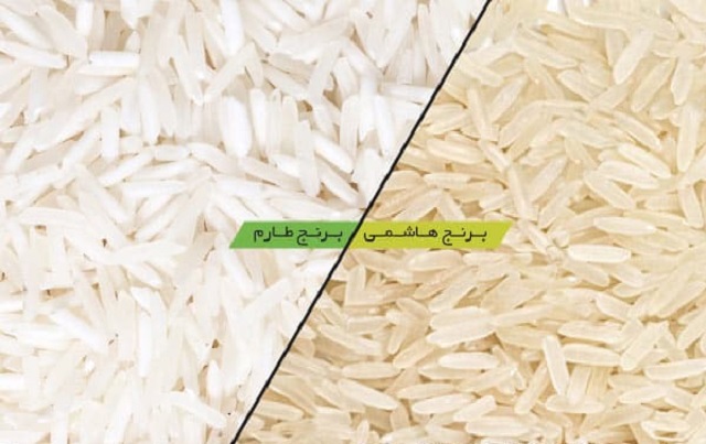 تفاوت برنج هاشمی و طارم از نظر عطر و طعم: کدام خوشبوتر و خوشمزه‌تر است؟