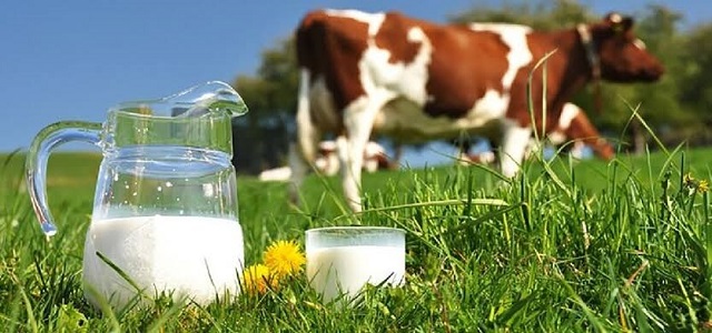 شیر حیوانی چیست و از چه منابعی تهیه میشه؟ شیر حیوانی چیست و از چه منابعی تهیه میشه؟