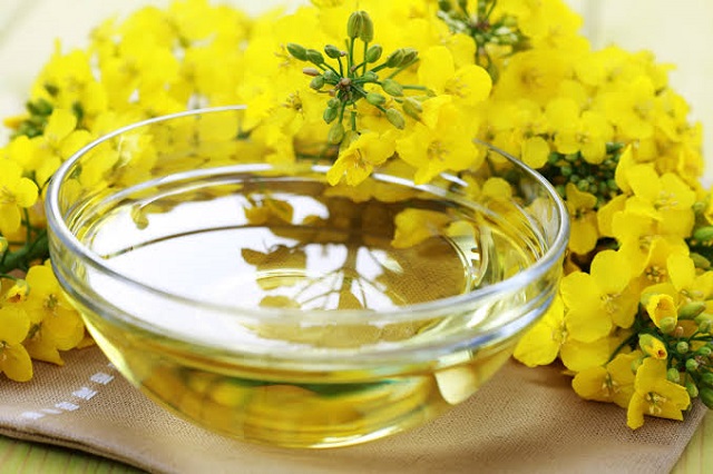 چطور روغن کانولا اصل را تشخیص دهیم؟ چطور روغن کانولا اصل را تشخیص دهیم؟