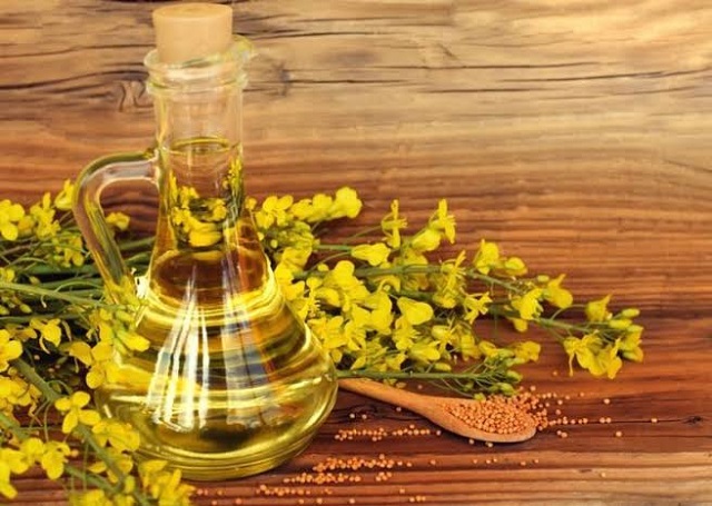 نقطه دود روغن کانولا چقدر است؟ نقطه دود روغن کانولا چقدر است؟