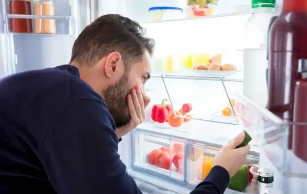 چطور بوی بد لبنیات را از یخچال بگیریم؟ چطور بوی بد لبنیات را از یخچال بگیریم؟