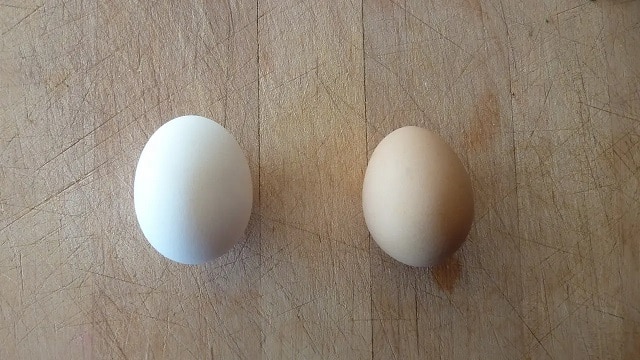 تفاوت ارزش غذایی تخم مرغ محلی و صنعتی