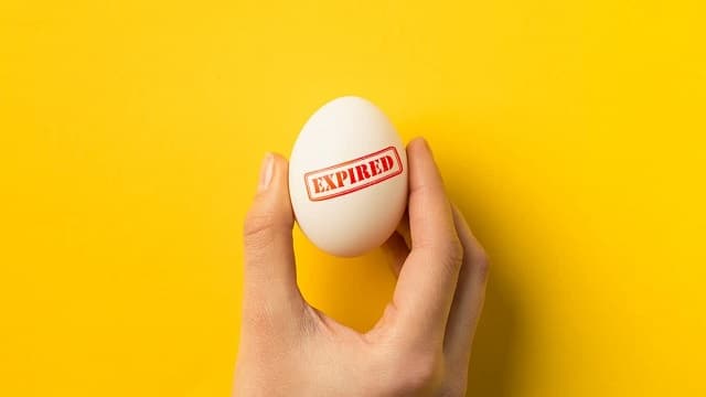 هنگام خرید تخم مرغ بسته‌بندی به چه نکاتی توجه کنیم؟