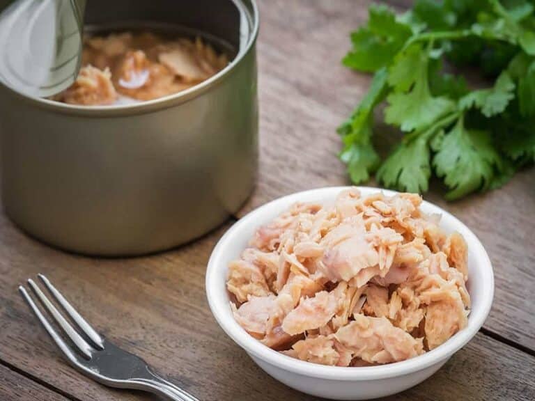 راهنمای جامع تشخیص تن ماهی سالم؛ چرا جوشاندن ضروری است؟