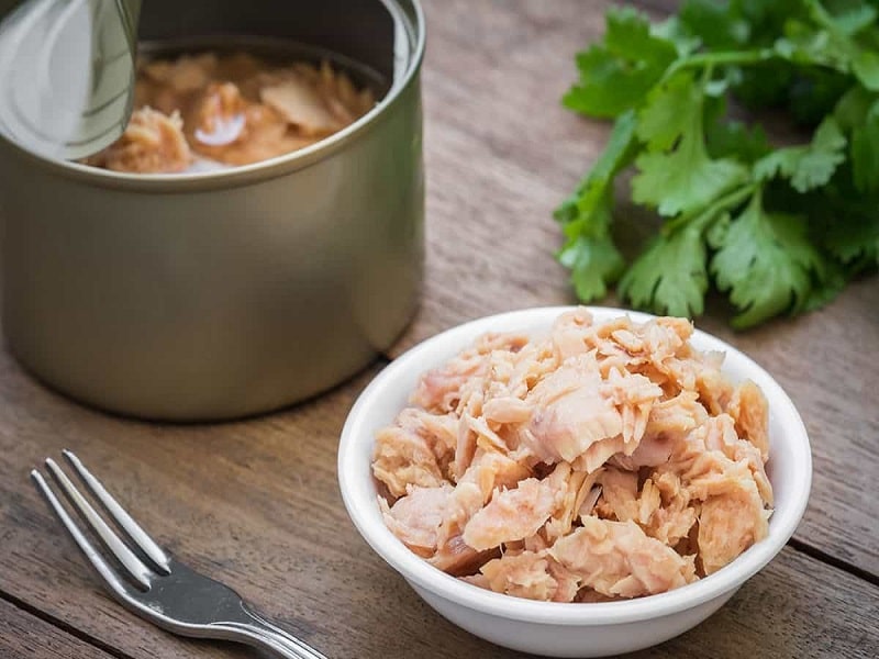 راهنمای جامع تشخیص تن ماهی سالم؛ چرا جوشاندن ضروری است؟